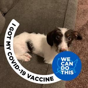 Meet your Posher, Candy